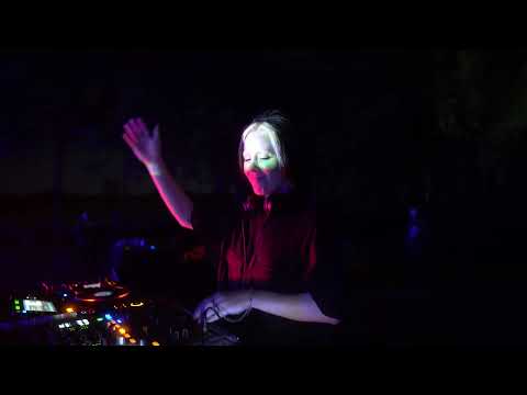 Sheefit @NoiseJumpers