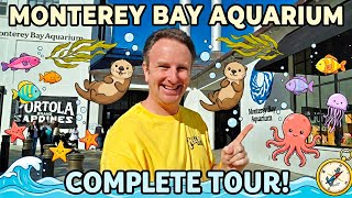 Inside the Monterey Bay Aquarium: The Ultimate Tour