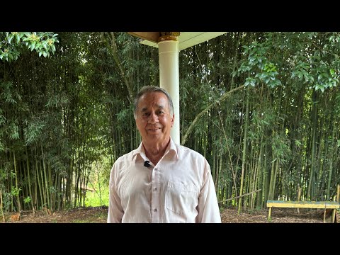 VAMOS FALAR SOBRE ABELHAS HOJE - NIVALDO DE SOUZA TIMBÓ GRANDE