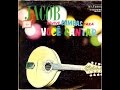 Jacob do Bandolim — Chega de Saudade (No More ...
