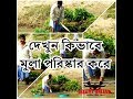 See how the mountains clean the radishes | দেখুন কিভাবে পাহাড়িরা মুলা পরিস্কার করে