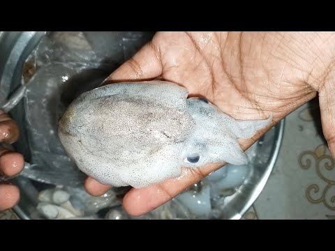 म्हाकुल रेसिपी | makul recipe in marathi #viralvideo #ratnagiri