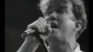 Jimmy Barnes - Love Is Enough (Live)