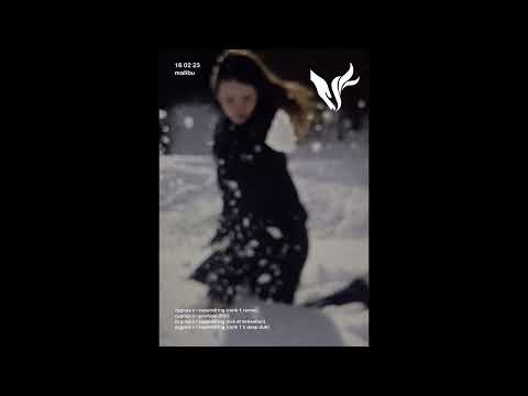 United In Flames w/ Malibu - 16th February 2023