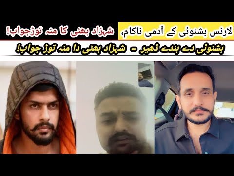 Lawrence Bishnoi ky admi nakam - Shahzad Bhatti ka munh torh jawab! #shahzadbhatti #lawrencebishnoi 