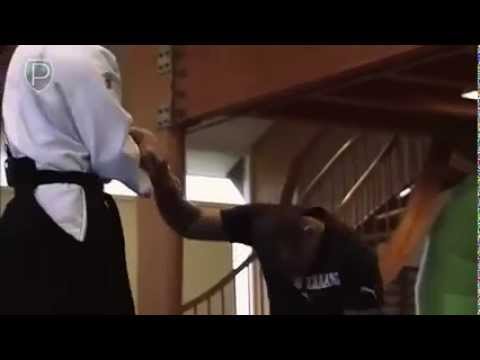 Brazilian jiu jitsu vs Aikido - Brazilian jiu jitsu techniques