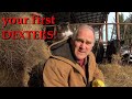 how to get started with Dexter cattle: stock, land, fences, housing, and equipment