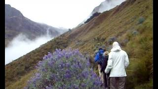 preview picture of video 'Trekking Santa Cruz, Huaraz, Peru, Cordillera Blanca avec ALPA-K TRAVEL'