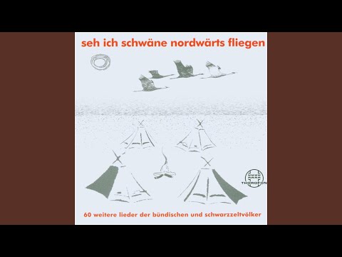 Wo wollt ihr hin, ihr tollen Jungen