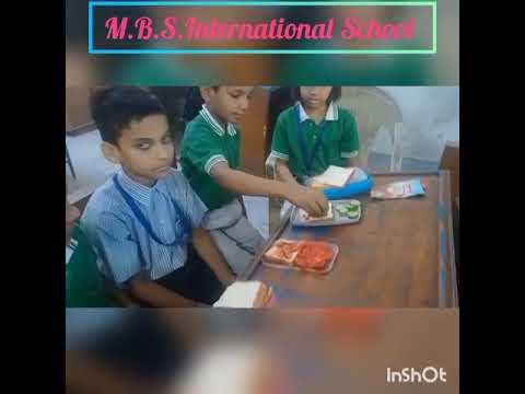 MBS International School, Greater Noida