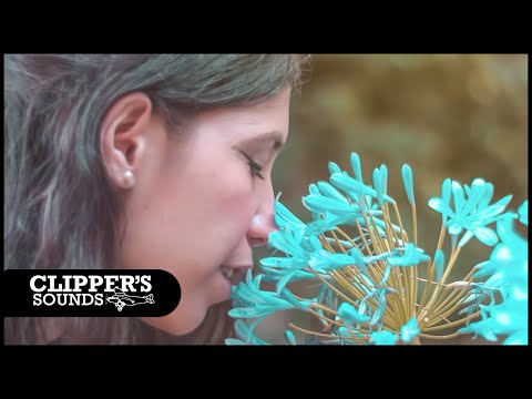 Proa Deejay - Eternally Inside It (Official Video)