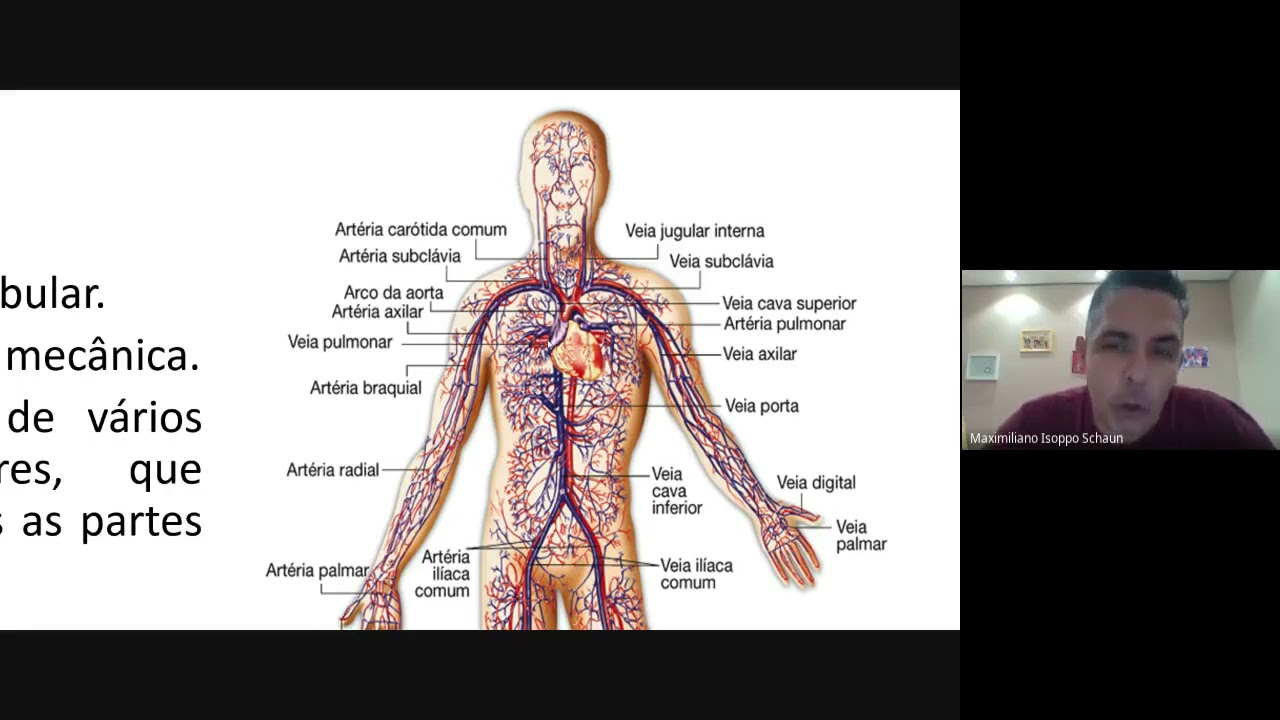 Aula Fisiologia do Exercício - Sistema Cardiovascular Aula I