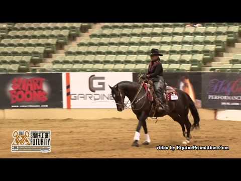 Earthly Riches ridden by Donna Russo  - 2016 NRCHA Snaffle Bit Futurity (NP Two Rein)