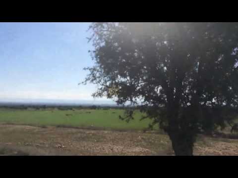 Argan Forest in Souss, South of Morocco