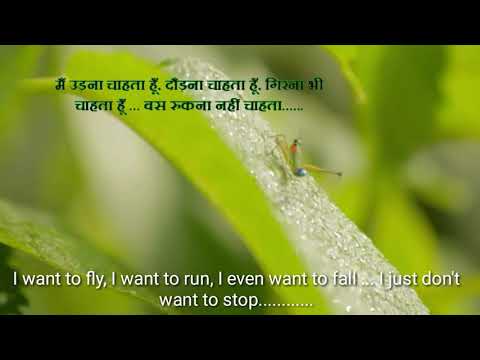 download lagu mp3 mp4 Yeh Jawaani Hai Deewani Dialogues English Translation, download lagu Yeh Jawaani Hai Deewani Dialogues English Translation gratis, unduh video klip Yeh Jawaani Hai Deewani Dialogues English Translation