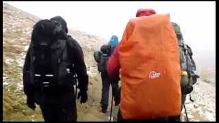 The Smartest Monkeys