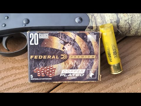 Federal .22 LR Hollow Point - Bulk Ammo Shooting Review - 7 Gun Test - WOW! - Only Two Guns Liked It