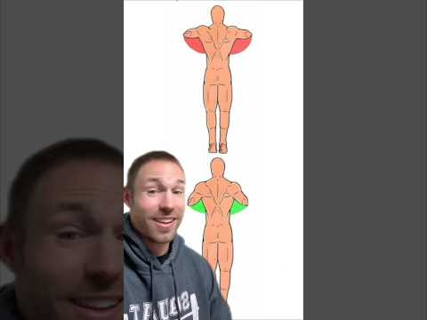 How To Perform A Proper PUSH-UP!