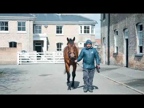 Introducing a new ownership opportunity with Midsummer Dance