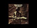 Hound Dog Taylor - 44 Blues