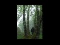 Peter Hammill - Fog Walking