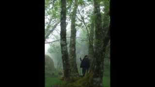 Peter Hammill - Fog Walking