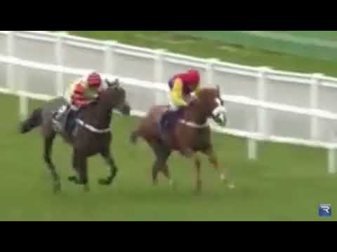 Timico gold cup 2017- Native River defeats Might Bight