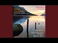 Symphony No. 2 in B-Flat Major, Op. 15: I. Allegro