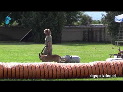 1. DMV Championat - Christian Fliehser - Ottlinger'S K'Uno