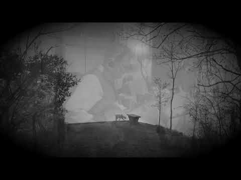 Video thumbnail DzRnoKpip1U