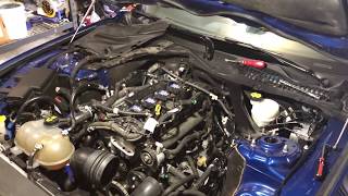 2017 Ecoboost Mustang Carbon Accumulation on Valves - 78,500 Miles - Misfire / Misfires