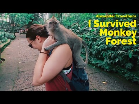Sacred Monkey Forest, Ubud Bali 🇮🇩 Indonesia