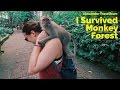 Sacred Monkey Forest Ubud Bali Indonesia