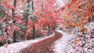 Incognito - It May Rain Sometime