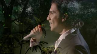 Alejandro Fernández - Procuro Olvidarte