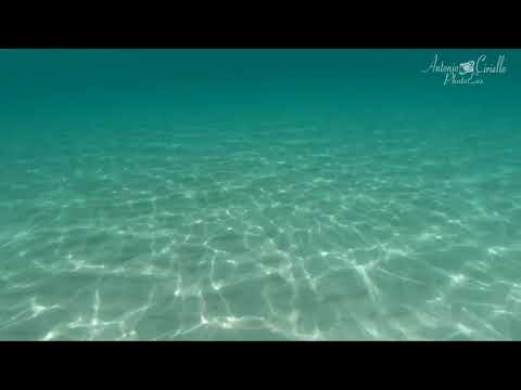 Tra i fondali di Marina di Lizzano ( Taranto , Puglia ) - Seascapes - Summer 2021