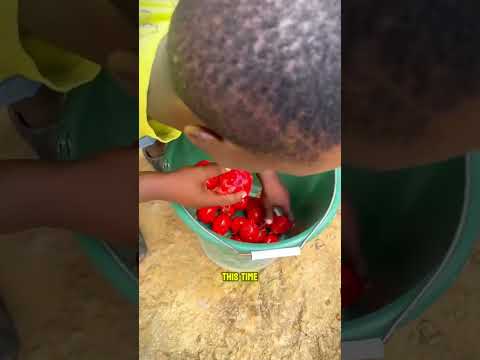 Lenky Trapped Dumbo, But The Game BACKFIRED!🤣😂-mini wood toy-woodworking art skill/handcrafts#shorts