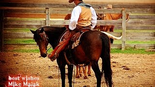 Mike Malak - Silence On The Line (Chris LeDoux, lyrics)