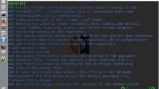 SVNCommandLineTutorial1