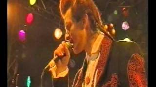 Willy DeVille - Every Dog Got His Day