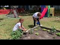 Montessori Gardening Watering Plants