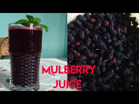 YouTube video about: Where to buy mulberry juice?
