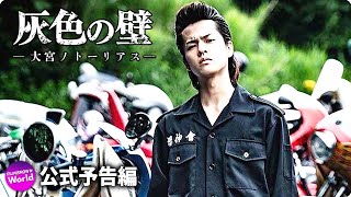 奥野壮主演！映画『灰色の壁　大宮ノトーリアス』予告編