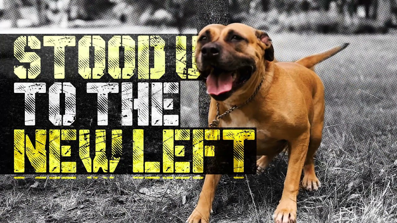 GOP group urges Sens. Sinema, Manchin to oppose far-left takeover