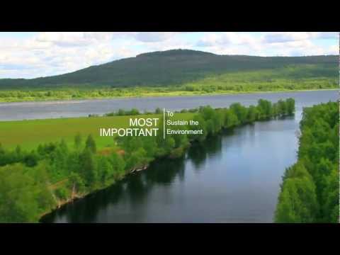 Invest Norrbotten - trailer