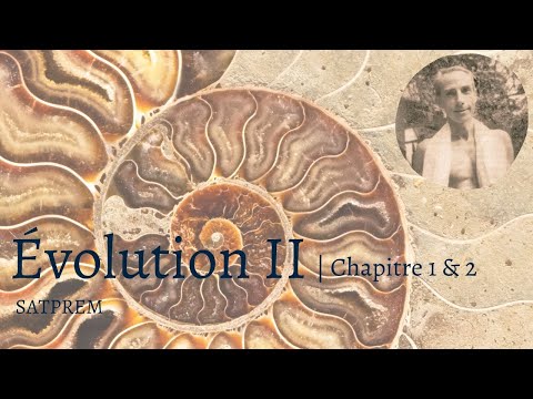 Évolution II, Chap 1 & 2 | Satprem
