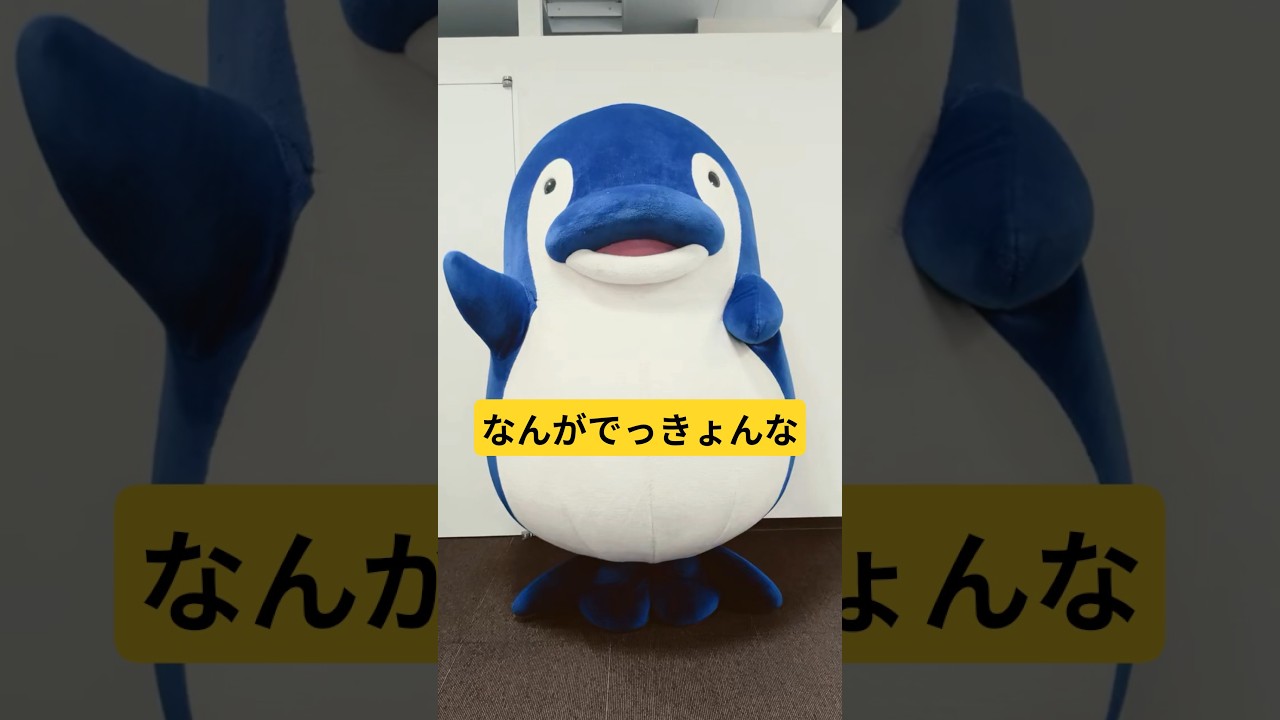 ことちゃんほんまやで。なんがでっきょんな。 #ことでん #ことちゃん #ほんまやでなんでやねんダンス #モナキ #かわいい