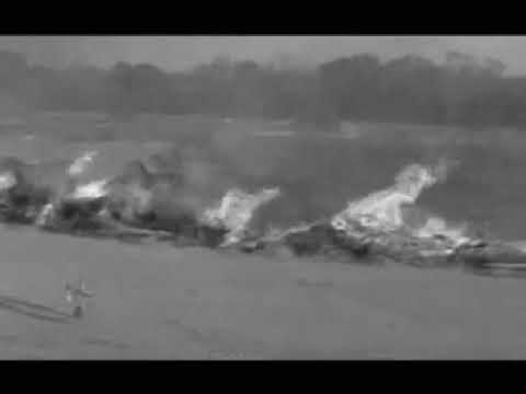 Ediktos Juveniles - BIOCIDIO