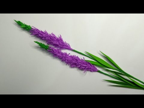 How to Make Veronica Paper Flowers