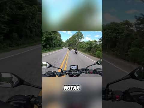 69 Cavalos na Hornet 750: Anda Mais do Que Você Pensa! #moto #motos #honda